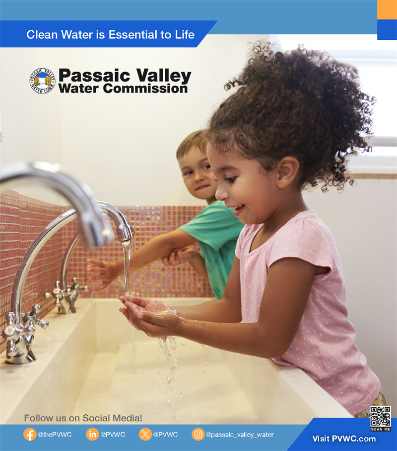 PVWC_company overview_english_Page_1of4.png